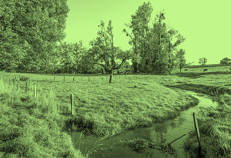 Moody green environmental permitting block large open green field with cows stream groundwater and beautiful blue sky